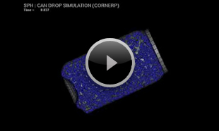 アルミ缶内のSPHの挙動（断面）